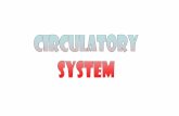 The circulatory system is a - Weeblygcsbio.weebly.com/uploads/5/3/2/5/5325438/circulatory_system__200… · The circulatory system is a mass flow system, moving substances form one