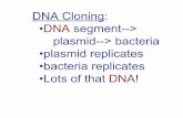 DNA Cloning: •DNA segment--> plasmid--> bacteria …jschall/pdfs/publications/cloningStemCells.pdf · SCNT (somatic cell nuclear transfer) ASC iPSC. The 800 Pound Ugly Gorilla CANCER.