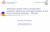 Intensive sweet cherry production: research objectives … · Intensive sweet cherry production: research objectives and approaches at the Fruit Growing Institute - Plovdiv Kouman