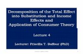 Decomposition of the Total Effect into Substitution and ... · Decomposition of the Total Effect into Substitution and Income Effects and Application of Consumer Theory Lecture 4