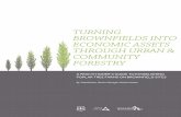 TURNING BROWNFIELDS INTO ECONOMIC … · Turning Brownfields into Economic Assets through Urban & Community Forestry A Practitioners Guide to Establishing Poplar Tree Farms on Brownfield
