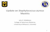Update on Staphylococcus aureus - buiatricsforum.combuiatricsforum.com/Pres 2015/Middleton.pdf · Update on Staphylococcus aureus Mastitis 1 John R. Middleton College of Veterinary