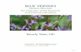 Blue VerVain - Natural Dispensary · Blue vervain: An Overview of the Research and Clinical Indications extracts of V. officinalis significantly attenuated the toxicity of beta-amyloid