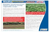 MediaRelease - Crop Care · herbicide Ramrod Flowable (propachlor) to its herbicide range. Ramrod (Group K) is a very useful resistance-management ... MediaRelease Crop Care Australasia