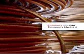 Palabora Copper Business Review - Palabora... · Project, is expected to come to the end of its life in . early 2016, and in an endeavour to extend the life ... Byrnecut South Africa