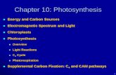 Chapter 10: Photosynthesis - Auburn University · Chapter 10: Photosynthesis Energy and Carbon Sources Electromagnetic Spectrum and Light Chloroplasts Photosynthesis Overview Light