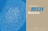 Mutation - Cftrscience · • The R553X mutation results in defective biosynthesis of the CFTR protein • The R553X allele results in little to no total CFTR activity • Both CFTR