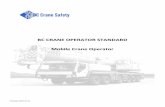 BC CRANE OPERATOR STANDARD Mobile Crane … · Industry wishes learners to have options for achieving credit for these theory ... high level content that must be covered for each