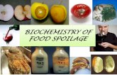 BIOCHEMISTRY OF FOOD SPOILAGE - core.ac.uk · Chlorophyll and solanine synthesis in potatoes (Ramaswamay et al., 1976) Dark Light 23⁰C. ... Chemical changes caused by micro organisms