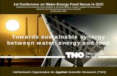 Towards sustainable synergy between water, energy … · Towards sustainable synergy between water, energy and food Netherlands Organisation for Applied Scientific Research (TNO)