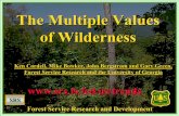 The Multiple Values of Wilderness - Southern Research · The Multiple Values of Wilderness ... to WILDERNESS MANAGEMENT • The National Wilderness System is ... accommodations and