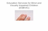 Education Services for Blind and Visually Impaired … · 2013-10-02 · Serves blind and visually impaired children birth ... (Alabama Institute for Deaf and ... case the TVI may