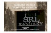 Diagnosis of sepsis: blood culture practices in India · Diagnosis of sepsis: blood culture practices in India Dr. Ashok Rattan Director Regional Reference Laboratory, Gurgaon and