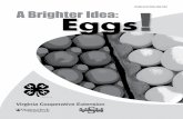 PUBLICATION 408-032 A Brighter Idea: Eggs - pubs.ext.vt.edu · Incredible Edible Egg. Not only are eggs nutritious, but they’re still one of ... Shell Membranes • Two membranes
