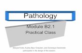 Pathology - unil.ch · Pathology in the . Robbins textbook. Etiology. Mechanisms. Morphology of Lesions Clinic Macroscopy Microscopy Robbins 1st part-Cellular death and adaptation-Thrombosis