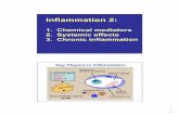 Inflammation 2: Inflammation 2 - Columbia University · Inflammation 2:Inflammation 2 1. Chemical mediators 2. Systemic effects 3. Chronic inflammation ... •Permeability ( vasc.