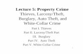 Thieves, Larceny/Theft, Burglary, Auto Theft, and … 5 FALL 05.pdf · Thieves, Larceny/Theft, Burglary, Auto Theft, and ... but also occurs within groups of the same ethnicity or