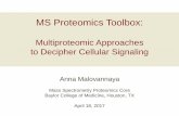 MS Proteomics Toolbox - Baylor College of Medicine · MS Proteomics Toolbox: Multiproteomic Approaches. to Decipher Cellular Signaling. Anna Malovannaya. ... PSMs = spectral counts,