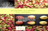 PPOMME A CIDRE Les vaariétés - ifpc.eu2016-11-8 · Introduction La culture du pommier à cidre est une déclinaison spécifique de l’arboriculture fruitière en raison notamment