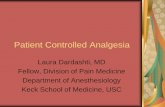 Patient Controlled Analgesia - Los Angeles County, …file.lacounty.gov/SDSInter/dhs/205605_PCA_Module.pdf · PCA – History cont… 1806 – opium’s active component, morphine