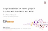 Regularization in Tomographypcha/Talks/RegTomo.pdf · Regularization in Tomography Dealing with Ambiguity and Noise . Per Christian Hansen . Technical University of Denmark