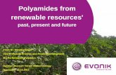 Polyamides from renewable resources' - Ost-West ...owwz.de/fileadmin/Biotechnologie/BioVeranst/.../Section_1/Haeger.pdf · Polyamides from renewable resources' past, present and future