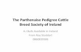 The ParthenaisePedigree Cattle Breed Society of … · The ParthenaisePedigree Cattle Breed Society of Ireland A.I Bulls Available in Ireland From Roy Stoddart 0860839306. Tutu A