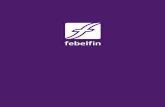 Who we are - Febelfinfiles.febelfin.be/Febelfin_Brochure/files/assets/common/downloads/... · the Association belge des Gestionnaires de Fortune et Conseillers en Placements (ABGC/BVVB).