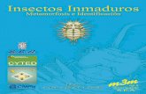 S.E.A.sea-entomologia.org/PDF/M3M5/219_226_Bibliografia.pdf · CYTED Red Iberoamericana de Biogeografía y Entomología Sistemática Red Iberoamericana de Biogeografía y Entomología