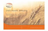 Udon Noodle Breeding - ausgrainsconf.com · Udon Noodle Breeding Daniel Mullan Wheat Breeder, InterGrain Pty Ltd AGIC 9th March 2015