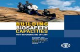 Building BiOsAFety cApAcitiesbch-thai.onep.go.th/documents/bbc.pdf · An overview of the experience gained from . FAO capacity building projects in agricultural biotechnology and