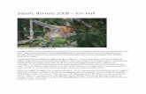 Sabah, Borneo 2008 – Jon Hall - Mammal Watching · Sabah, Borneo 2008 – Jon Hall Proboscis Monkey, Kinabatang River ... Oran Utang We left the Kinabatang for the 4 hour drive