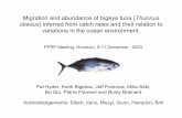 Migration and abundances of bigeye tuna (Thunnus … · Migration and abundance of bigeye tuna (Thunnus obesus) ... Jul/Aug Nov/Dec. Bigeye inter-annual and annual fish, hook and