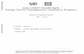Joint UNDP/Worid Bank Energy Sector Management Assistance ... · Energy Sector Management Assistance Program Activity Completion Report JNO. 048/86 Country: ... The Joint UNDP/World