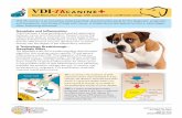 VDI -TK CANINE - Veterinary Diagnostics Institutevdilab.com/pdf/38_TKcanineTechSheet.pdf · 4685 Runway Street, STE K Simi Valley, CA 93063 (805) 577-6742 DILab.com VDI-TK canine+