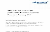 Factor Assay Kit p50/p65 Transcription ab133128 – NF-kB€¦ · Version: 2 Last Updated: 09 August 2013 ab133128 – NF-kB p50/p65 Transcription Factor Assay Kit Instructions for