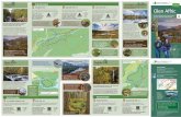 Dog Falls Trail information Loch Beinn aÕ Mheadhain ... · Glen Affric Ancient Caledonian pinewoods within an iconic National Nature Reserve Highlands Gi thsachan (say gi-oosuchun)