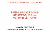 PREDISPOSITIONS GENETIQUES au CANCER du FOIEue7-bichat.weebly.com/uploads/6/4/1/7/6417368/cours_ue_m1_bio_cell... · CANCER du FOIE Angela SUTTON ... Dimorphisme génétique Ala/Val