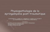 Physiopathologie de la syringomyélie post-traumatiquepe.sfrnet.org/Data/ModuleConsultationPoster/pdf/2005/1/e573b906... · majoration de la spasticité ... Post-traumatique: Latérale,extra-canaliculaireet