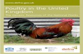 Poultry in the United Kingdom - … · 3 1.Introduction Domestic poultry form the most important sector of livestock keeping worldwide, theproductionofmeatandeggsbeingamajorcontributortohumannutrition