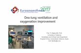 One-lung ventilation and oxygenation improvementeuroanaesthesia2017.esahq.org/wp-content/uploads/2015/11/2017.06... · One-lung ventilation and oxygenation improvement Prof. FJ Belda