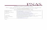 Mechanism of mRNA transport in the nucleus - Raj …rajlab.seas.upenn.edu/pdfs/vargas_et_al.pdf · Mechanism of mRNA transport in the nucleus Diana Y. Vargas, Arjun Raj, Salvatore