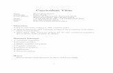 Curriculum Vitae - UZHuser.math.uzh.ch/chipot/Vita-17-E.pdf · Curriculum Vitae Name Michel Marie Chipot Citizenship Swiss, French Postal address Institut fur Mathematik, Universit