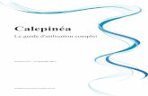 Calepinéa - Guide d'utilisationCalepina - Guide d'utilisationcalepinea.softed.fr/documents/calepinea-guide.pdf · 2013-10-14 · État de l'art en matière de calepinage ... exhaustif
