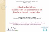 Marine lecithin : interest in vectorisation of ... · Marine lecithin : interest in vectorisation of biofunctional molecules Nabila Belhaj, Frederic Denis, Pascale Sautot, Tin Hinan