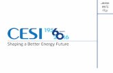 CESI at a Glance - kikuden.co.jp · Since the beginning CESI supports the development of the national electrical system 1950 1975 2000 4 1956: The ... distribution grids Emulating