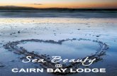CAIRN BAY LODGEcairnbaylodge.com/wp-content/uploads/2016/04/Sea-Beauty-Booklet.pdf · This is an holistic treatment which can help reduce sinus problems ... Using Bare Minerals makeup