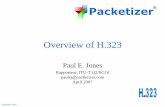 Overview of H - Packetizer · • Today, H.323 is the most widely deployed standards-based voice and videoconferencing standard for packet-switched networks, with literally billions