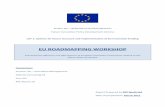 EU ROADMAPPING WORKSHOP - uni-mannheim.deedz.bib.uni-mannheim.de/daten/edz-h/gdb/11/annex6_en.pdf · • “Modulisation” of devices • Make technology more easy to operate –