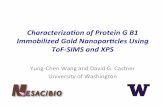 Characterizaon-of-Protein-G-B1 Immobilized-Gold … · • Nanopar;cle)behavior)in)biological)systems)is)highly) ... - With protein G B1 cysteine mutant . Title: Yung Chen Wang, University